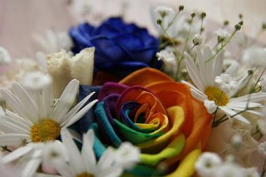 misterious flower