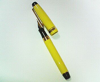 P1000059-pen.jpg