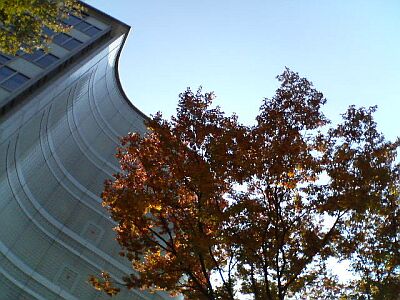 P1000152-akibare.jpg
