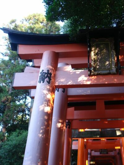 fushimi-torii2.jpg