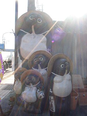 071008_tanuki.jpg