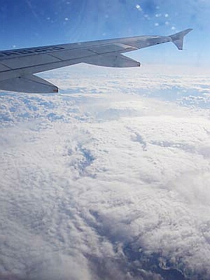 DSC05181.jpg