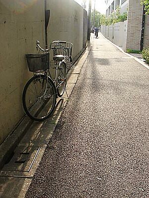 DSC06517_cycle.jpg