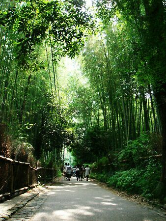 DSC07459_arashiyama.jpg