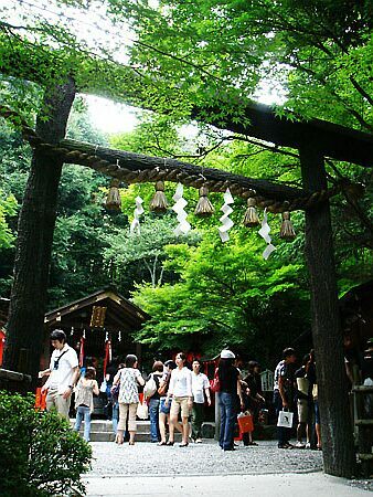 DSC07461_kurotorii.jpg