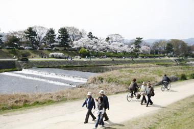 kamogawa.jpg