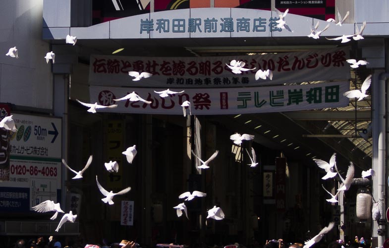 岸和田だんじり祭り