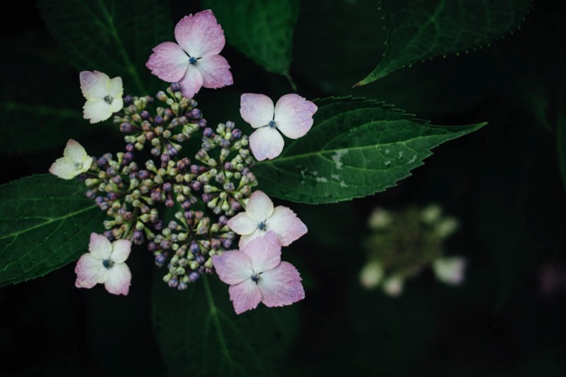 P6110151